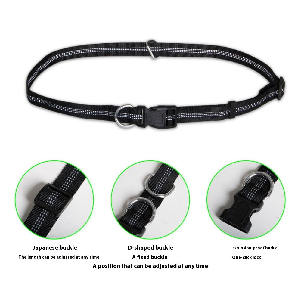 Hands-Free Dog Leash