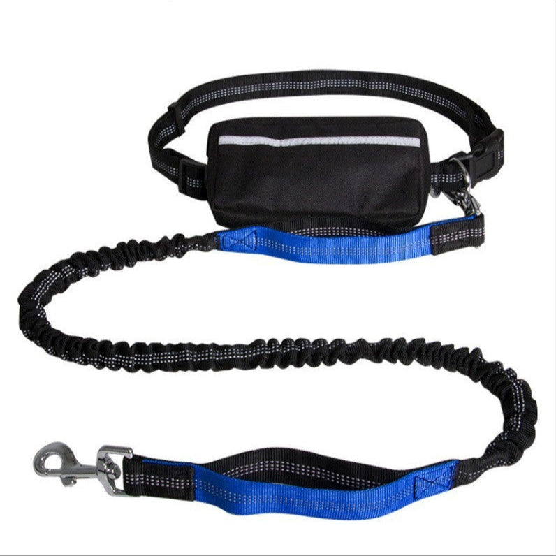 Black and blue dog leash with attached pouch on a white background