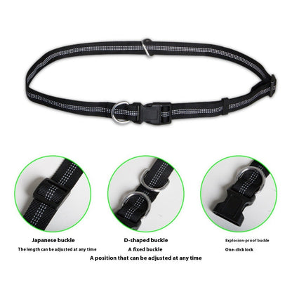Hands-Free Dog Leash